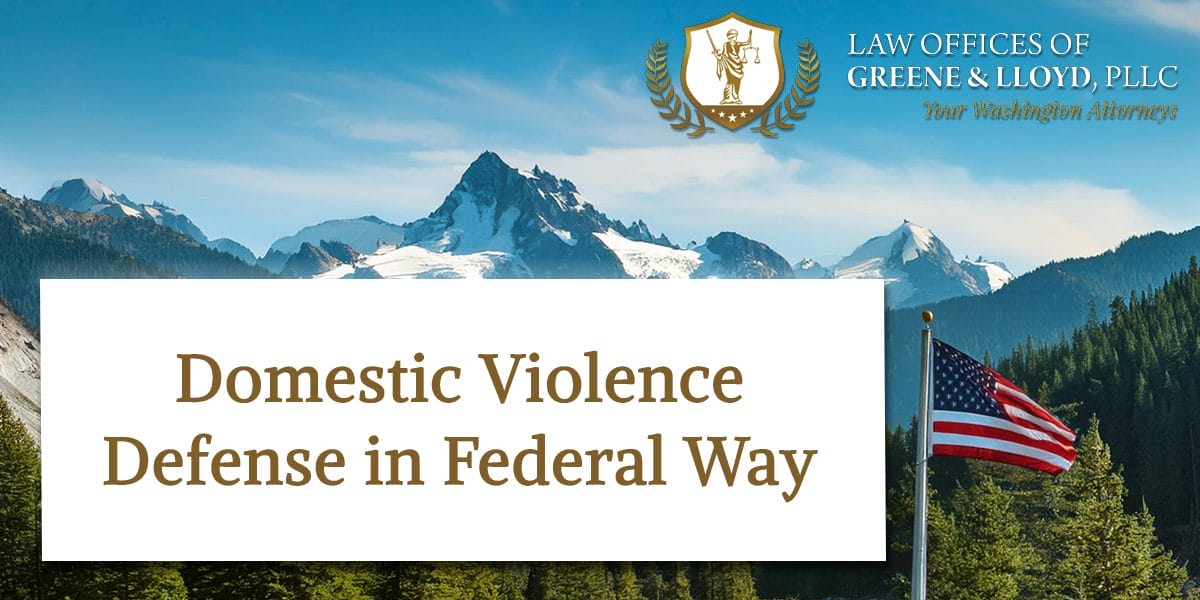 Domestic Violence Defense in Federal Way Washington - New