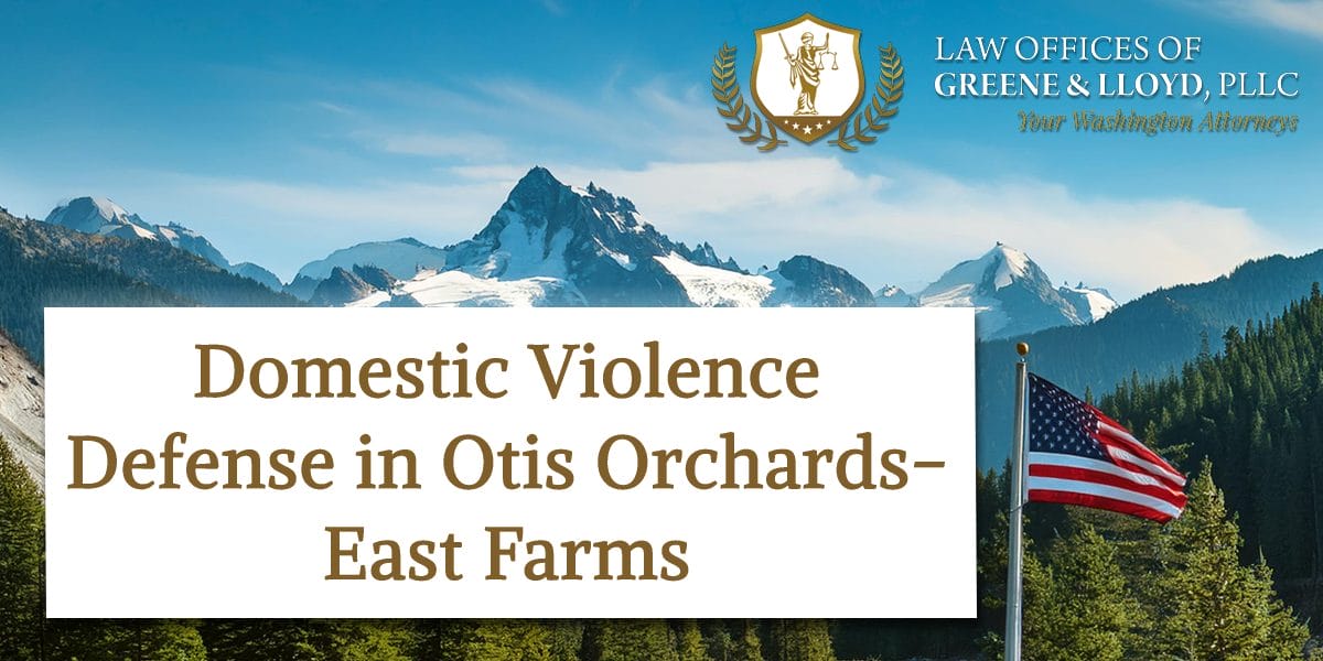 Domestic Violence Defense in Otis Orchards-East Farms Washington - New